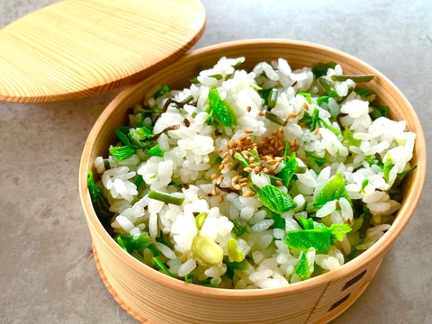 山菜の女王 コシアブラご飯